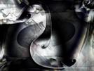 Graph 08