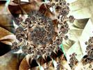 Texturising 6